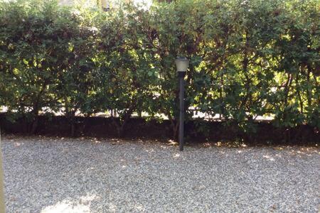 פיאטרה סנטה Residence Apuamare מראה חיצוני תמונה
